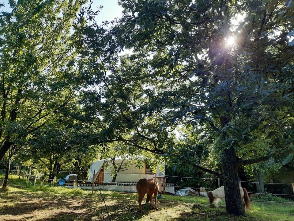 Jurta Az Erdo Mellett Dezsaval-Keresz-Tanya Hotel Pilisszentkereszt Exterior foto